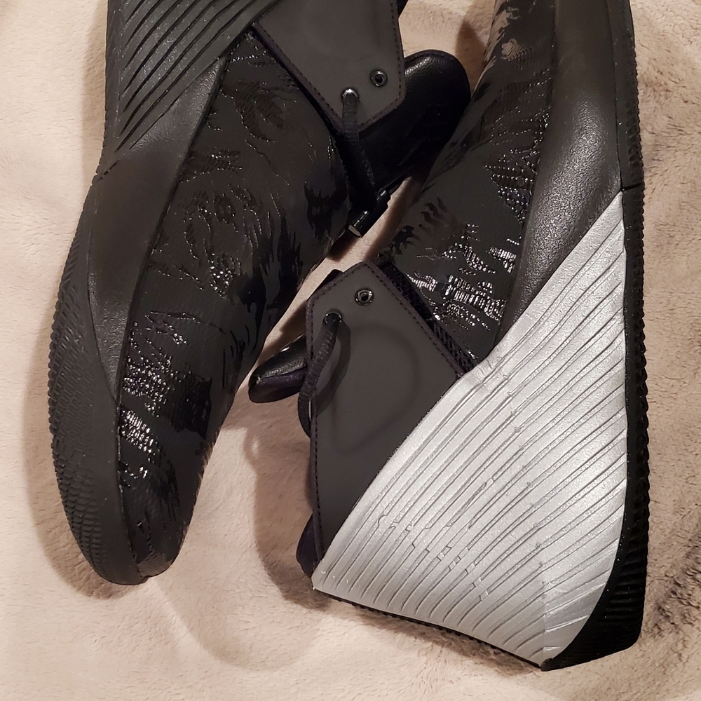 Men's Nike Jordan Why Not?